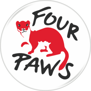 Four paws 