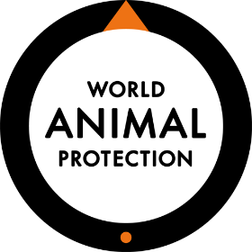 World Animal Protection 