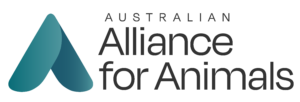 Australian Alliance for Animals